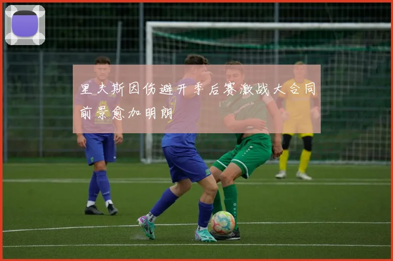 里夫斯因伤避开季后赛激战大合同前景愈加明朗